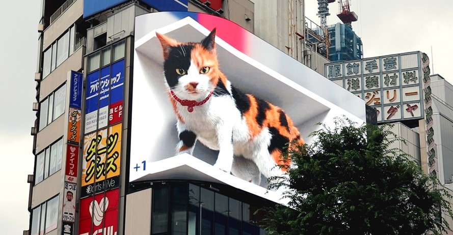 Billboard Mockup 3D những chú mèo tại Nhật Bản đẹp
