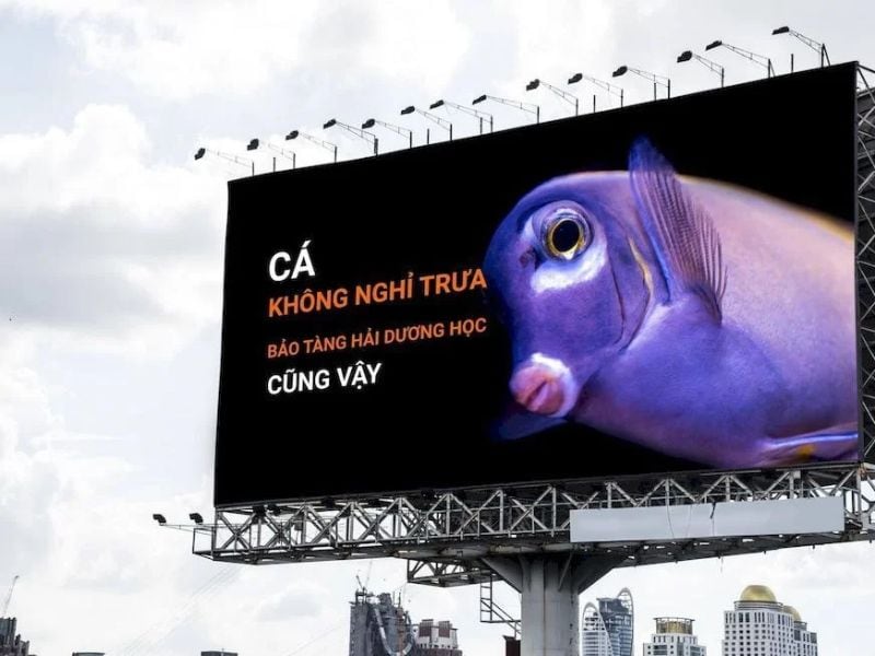 Biển quảng cáo ngoài trời 3D của Bảo tàng Hải dương học (Nha Trang) - Biển Quảng Cáo OOH 3D: Ưu Điểm, Chi Phí & Top Mẫu Đẹp Biển quảng cáo ngoài trời 3D của Bảo tàng Hải dương học (Nha Trang)