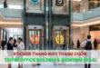 Sticker thang máy thang cuốn