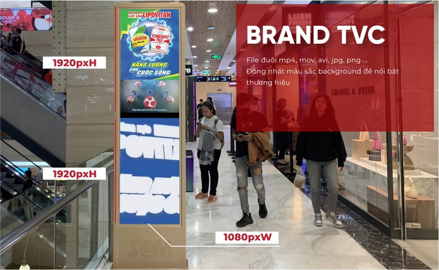 - Quảng Cáo LCD/Standee Tại Trung Tâm Thương Mại